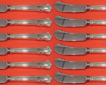 English Shell by Lunt Sterling Silver Butter Spreader HH Set 12 pcs 6&quot; - £278.33 GBP