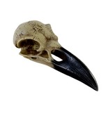 Alchemy Gothic V16 Corvus Alchemia Skull 7” Raven Indoor/outdoor Decor V... - $26.99
