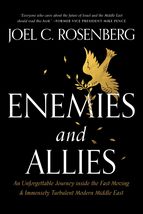 Enemies and Allies: An Unforgettable Journey inside the Fast-Moving &amp; Im... - $6.88