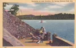 View Of Lake Hamilton Hot Springs National Park Arkansas AR Postcard E08 - £5.50 GBP