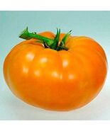 Amana Orange Tomato, 30 Seeds, NON-GMO, BUY 2 GET 1 FREE, FREE SHIPPING - $36.18 MXN