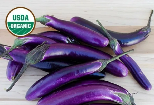 10 Organic Ping Tung Asia Eggplant Seed Tasty Asian Usa Fresh Garden - £7.86 GBP