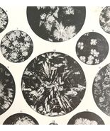 Crystalline Formation Oleo Boiled And Raw Microscope Victorian 1887 Prin... - $458.41 MXN