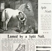 Putnam Nail Co Blacksmith Horse 1894 Advertisement Victorian Tools ADBN1rr - $24.99