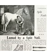 Putnam Nail Co Blacksmith Horse 1894 Advertisement Victorian Tools ADBN1rr - £19.65 GBP