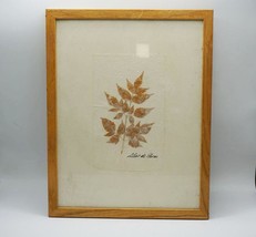Lilas De Perse Chinaberry Pressed Leaves Framed - £96.90 GBP