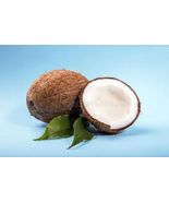 Coconut 8oz bags of flavored China Black Leaf Tea - $15.29