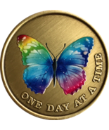 Butterfly Color One Day At A Time Medallion AA NA Serenity Prayer Sobrie... - €15,58 EUR