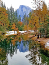 AllenbyArt Half Dome Reflected Scenery of Northern Hardwood Forest, Wall Decor - £28.04 GBP+