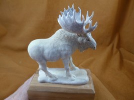 moo-w48 large white Moose Elk bull standing shed ANTLER figurine Bali detailed - £334.07 GBP