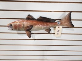 Beautiful Reproduction Redfish Taxidermy Wall Mount Art Wildlife - $185.00