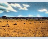 Western Harvest Scene Big Horn Mountains Wyoming WY UNP Linen Postcard N2 - £3.12 GBP