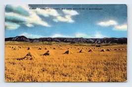 Western Harvest Scene Big Horn Mountains Wyoming WY UNP Linen Postcard N2 - £3.07 GBP