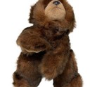 Ty Classics Floppy Beanie 12 in Brown Bear Stuffed Animal Plush Paws 199... - $17.26