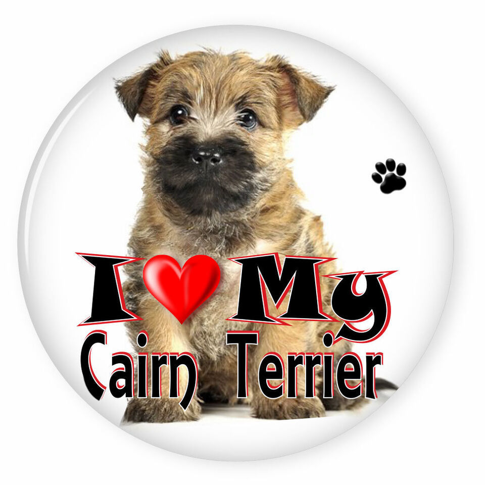 I LOVE MY CAIRN TERRIER PUPPY 3&quot; SAFETY PIN BACK BUTTON - $6.29