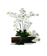 31.5 in. H Cream Phalaenopsis Stem - Set of 12 - £127.53 GBP