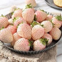 100 White Strawberry Seeds Pineberry Hula berry Alpine berry Container A - $4.13