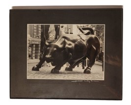 Alex Leykin Charging Bull Signed Framed Photo Wall Street Metro Stock Ma... - $49.99