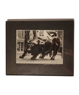 Alex Leykin Charging Bull Signed Framed Photo Wall Street Metro Stock Market B&W - $49.99