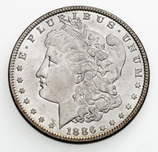 1886 Argento Morgan Dollaro IN Scelta Bu Condizioni Sbiadita Reverse - £115.61 GBP