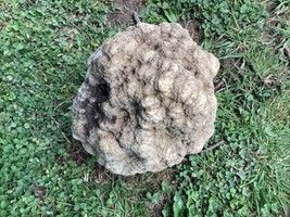 14 lb + Indiana Geode  Crystals ,  Geode , minerals,fossil  Jewelry Lapi... - $101.72