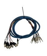 GEPCO  12 Channel Male 1/4&quot; Phone to 3-Pin Neutrik XLR Female Male Snake... - €59,45 EUR