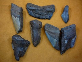 (SW11-39) TWO POUNDS Fossil Shark Tooth teeth MEGALODON partial sharks fragments - £44.82 GBP