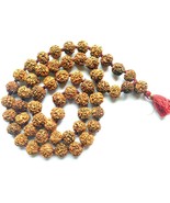 5 Mukhi Rudraksha Kantha Surya Agni Siddha Mala 55 Japa Beads Energized - $28.50