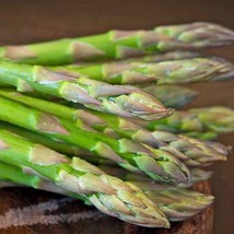 USA SELLER 100 seeds UC 72 Asparagus Free Shipping - $14.70