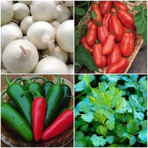 USA Seller Pico de Gallo Garden Seed Kit Over 100 Seeds Fast Shipping - $15.70