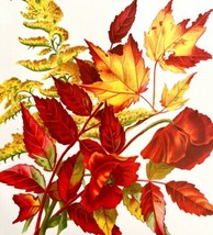 Sumac Poppies Goldenrod Flowers Lithograph Victorian 1888 Print Skelding DWU11C - £31.46 GBP