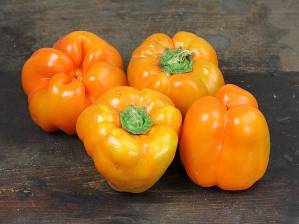 Bright &amp; Showy Blooms 20 Orange Bell Pepper , Seeds - $98.82 MXN