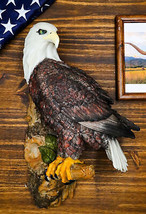 Large Mountain Grand Bald Eagle Perching On Tree Branch Wall Decor Plaqu... - $69.99