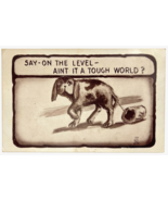 Postcard - &quot;Say - On The Level - Aint It A Tough World?&quot; Dog&#39;s Life, H.I... - $12.55