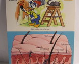 1978 Walt Disney&#39;s Fun &amp; Facts Flashcard #DFF4-11: Skin and Hair - $2.00