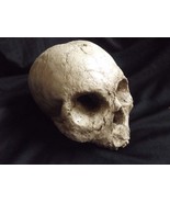Human Half Skull Ancient Decrepit Bone Statue Decayed Rotted Prop Macabr... - $41.14 CAD