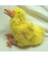 Folkmanis NICE YELLOW DUCKLING HAND PUPPET 10&quot; Plush STUFFED ANIMAL Toy ... - $365.99 MXN