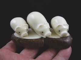 (TNE-PIG-273) Three 3 little pig pigs family TAGUA NUT palm carving piggies - $31.32