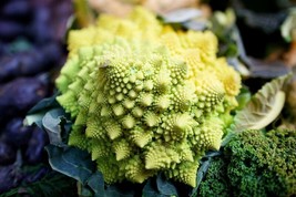 1000 Romanesco Broccoli Seeds Heirloom Usa Seller - $8.19