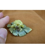 (Y-FRO-166) little green Serpentine Frog on LEAF Gem gemstone FIGURINE Peru - $12.19