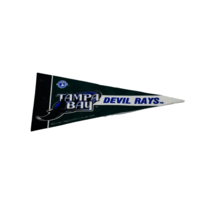 Tampa Bay Devil Rays 2004 MLB Mini Pennant 9in x4in Felt Banner Flag Bas... - $33.22