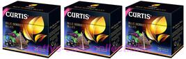 CURTIS Black Tea Blue Berries Blues SET of 3 BOXES X 20 = 60 Pyramids US... - £13.23 GBP