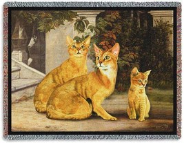 72x54 ABYSSINIAN CAT Feline Tapestry Afghan Throw Blanket - £49.61 GBP