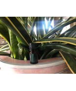 doTERRA Balance Essential Oil 5 mL NEW &amp; SEALED Exp 12/2029 - €15,45 EUR