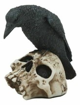 Foreboding Dark Crow Raven On Skull Statue 5&quot;Tall Ossuary Scavenger Raven Bird - £20.77 GBP