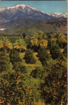 1940s Union Pacific Railroad California Pictorial Linen Postcard (D5) - £4.80 GBP