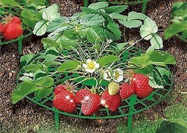 Plant Supports for Gardening fruits &amp; Vegetables - Pack of 10 - $183.54