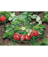 Plant Supports for Gardening fruits &amp; Vegetables - Pack of 10 - £144.37 GBP