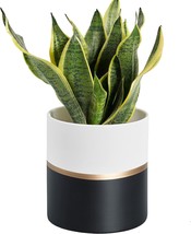 Indoor Tagobar Planter Plant Pots 4 Point 7 Inch Modern Ceramic Flower Pot For - £27.19 GBP