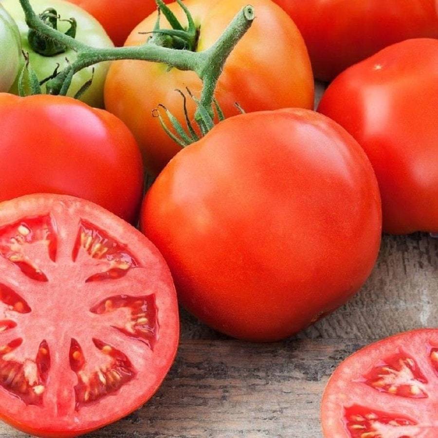 Cal Ace Tomato Seeds Fresh Gardening USA SELLER - $8.59